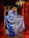 Banarasi Libaas Blue Banarasi Pure Tissue Silk Saree - Image 6